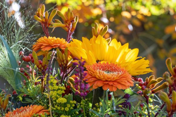 blumen